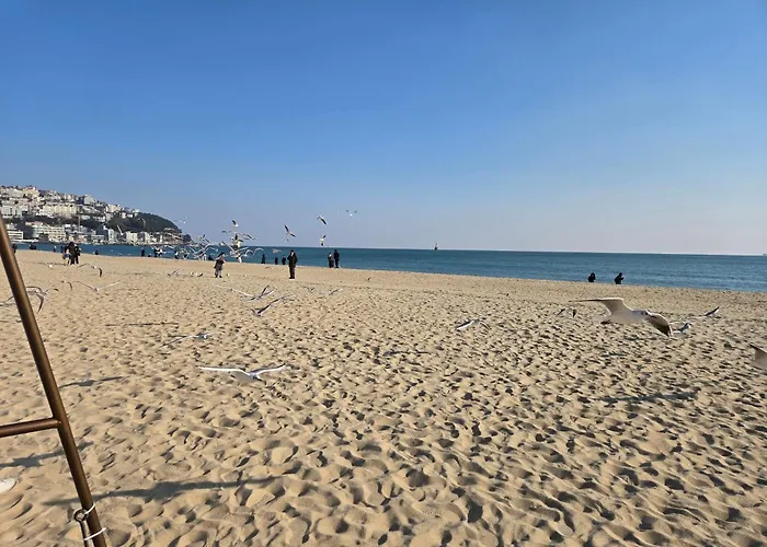 Apartment Hera Haeundae Family-up To 5 Guests Busan
